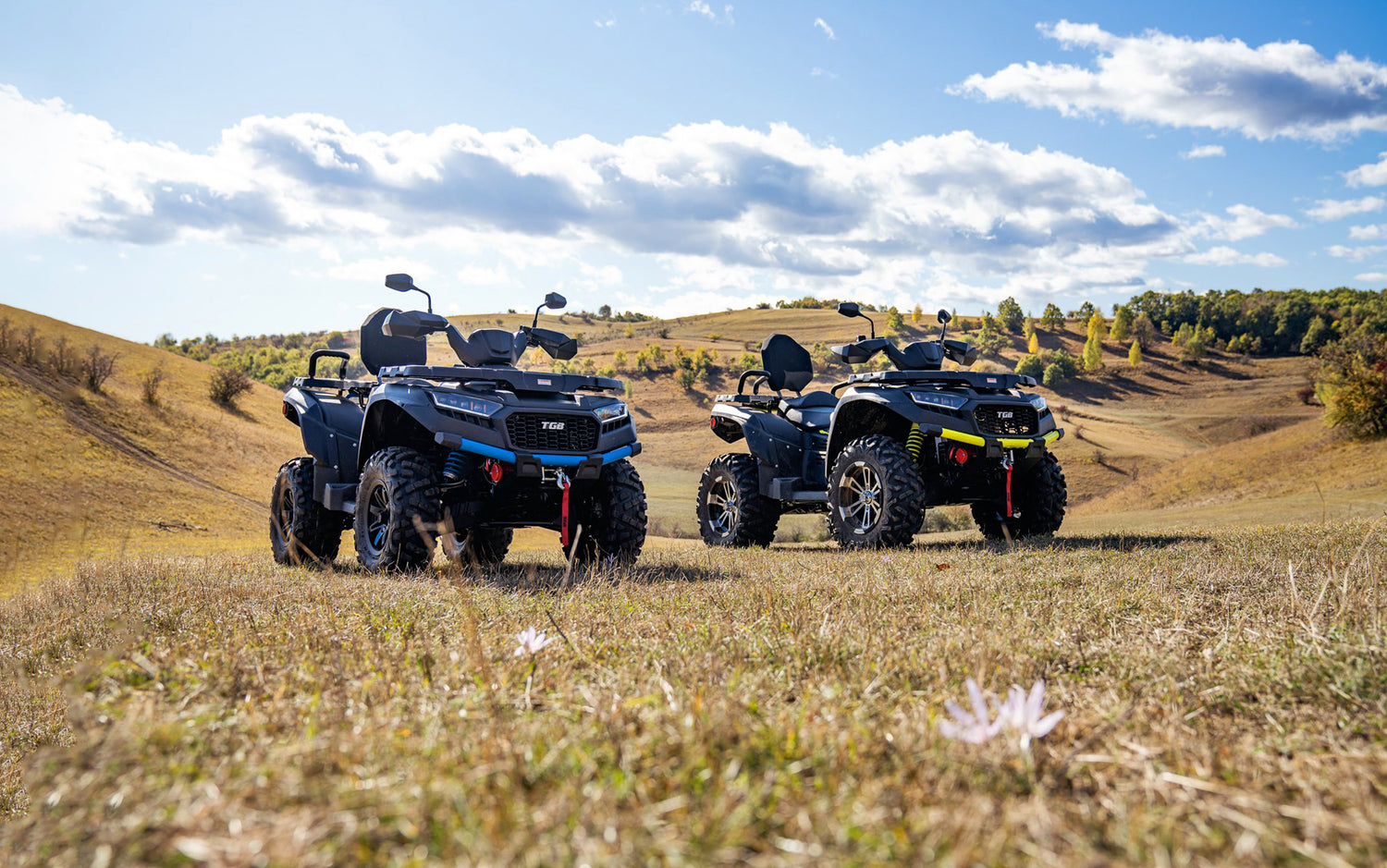 two TGB atvs parked in a field